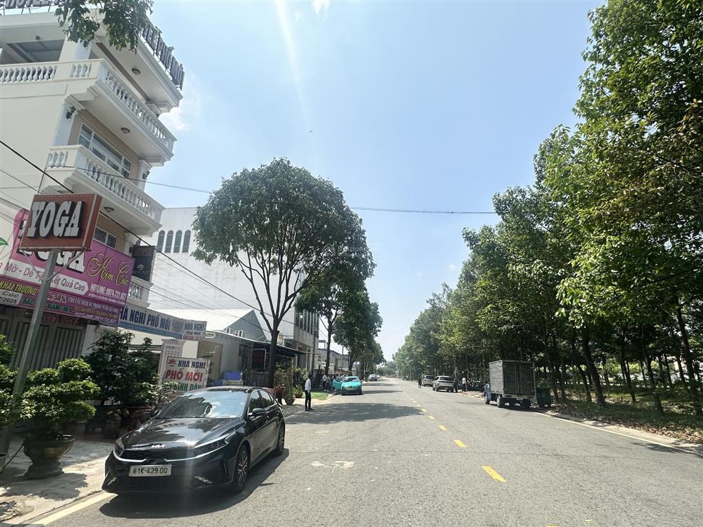 Bất động sản tại Bình Dương - ảnh 1