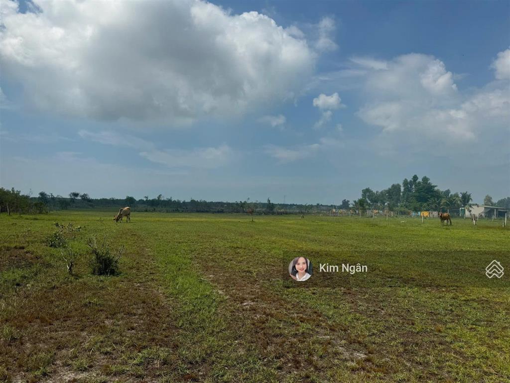 Bất động sản tại Bình Thuận - ảnh 1