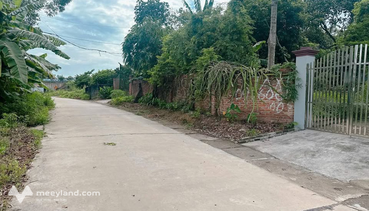Bất động sản tại Phú Thọ - ảnh 1