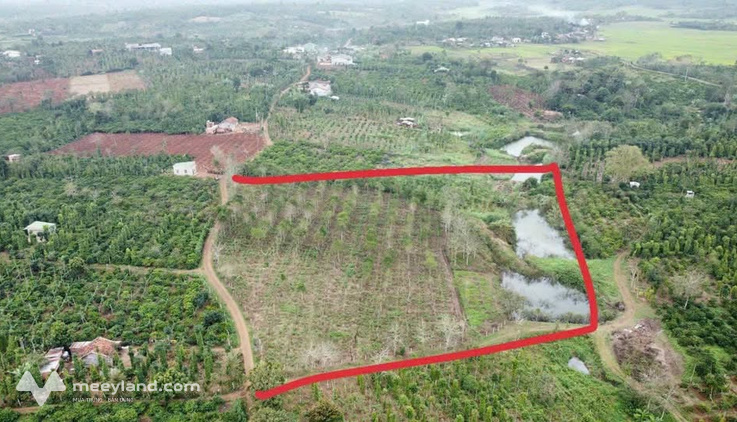 Bất động sản tại Đắk Lắk - ảnh 1