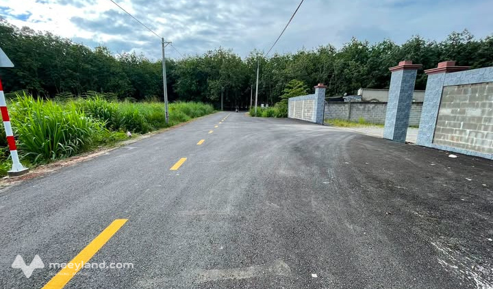Bất động sản tại Bình Dương - ảnh 1