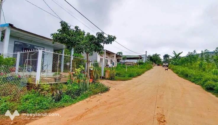 Bất động sản tại Đắk Nông - ảnh 1