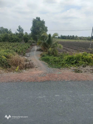 Bất động sản tại Long An - ảnh 1