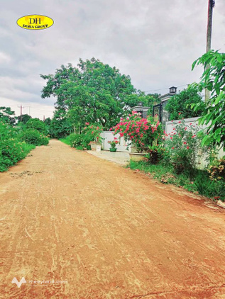 Bất động sản tại Quảng Trị - ảnh 1