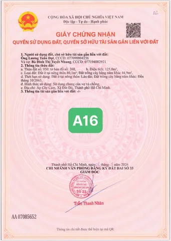 Bất động sản tại Bà Rịa - Vũng Tàu - ảnh 1