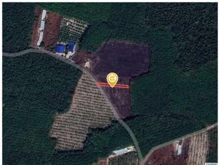 Bất động sản tại Bình Dương - ảnh 1