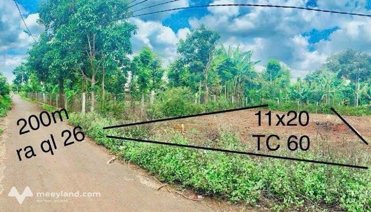 Bất động sản tại Đắk Lắk - ảnh 1