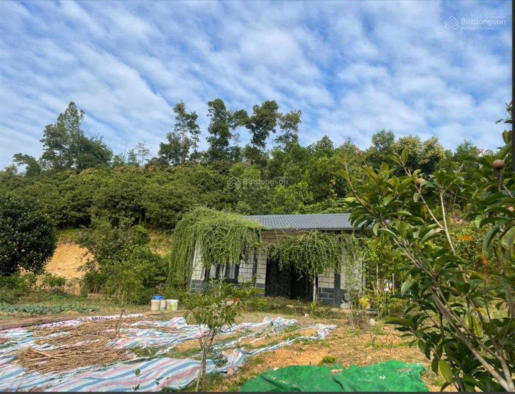 Bất động sản tại Hải Dương - ảnh 1