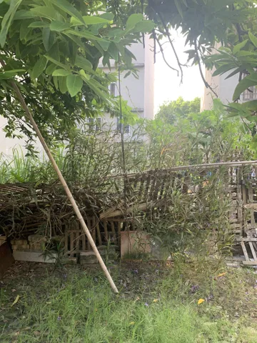 Bất động sản tại Quảng Ninh - ảnh 1