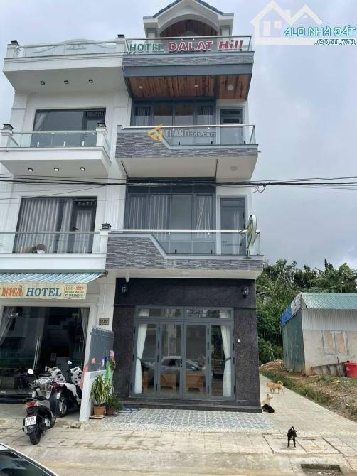 Bất động sản tại Lâm Đồng - ảnh 1