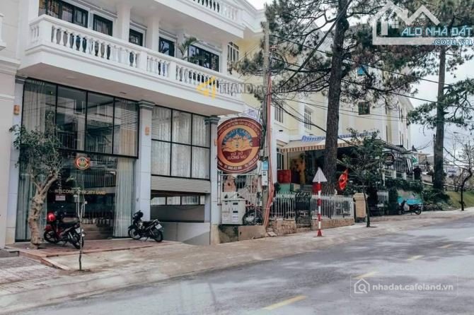 Bất động sản tại Lâm Đồng - ảnh 1