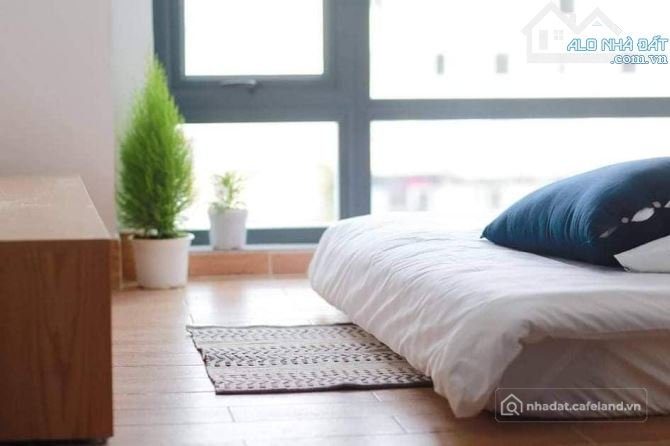 Bất động sản tại Lâm Đồng - ảnh 1