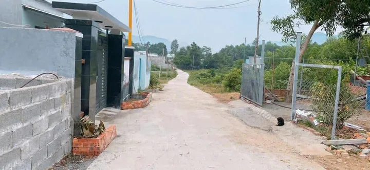 Bất động sản tại Đà Nẵng - ảnh 1