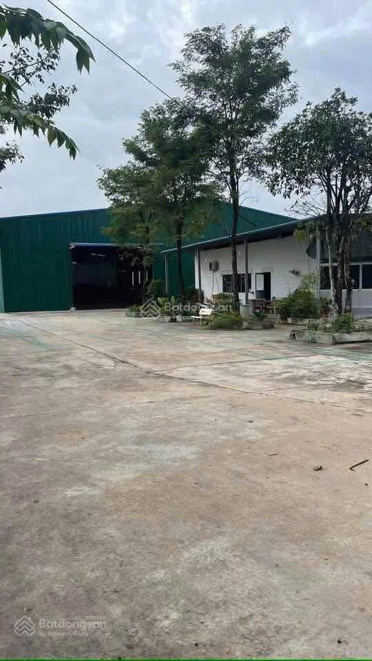 Bất động sản tại Bình Dương - ảnh 1