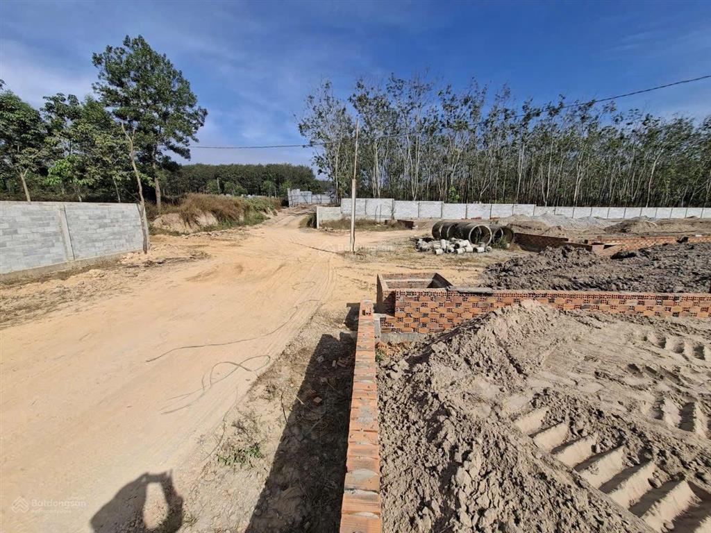 Bất động sản tại Bình Dương - ảnh 1