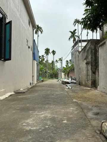 Bất động sản tại Hải Phòng - ảnh 1