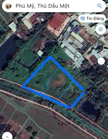 Bất động sản tại Bình Dương - ảnh 1