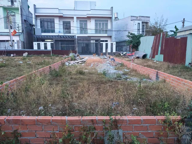 Bất động sản tại Bình Dương - ảnh 1
