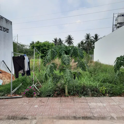 Bất động sản tại Tiền Giang - ảnh 1