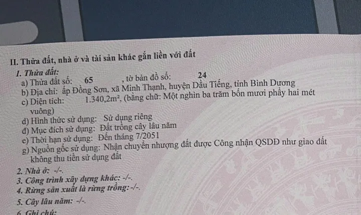 Bất động sản tại Bình Dương - ảnh 1