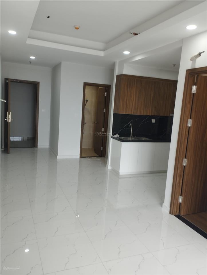 Bất động sản tại Bình Dương - ảnh 1
