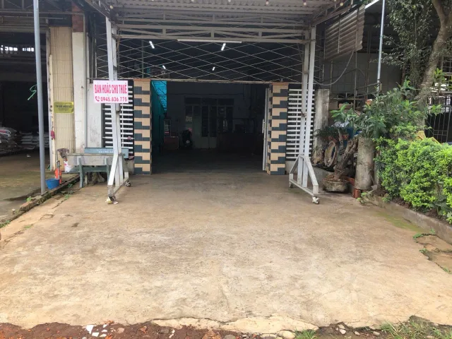 Bất động sản tại Đắk Lắk - ảnh 1