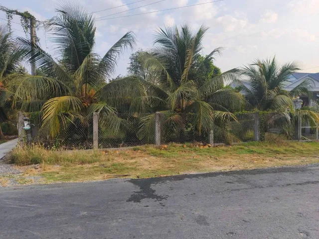 Bất động sản tại Đồng Tháp - ảnh 1
