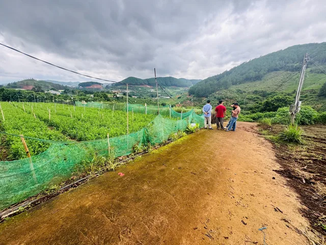 Bất động sản tại Lâm Đồng - ảnh 1