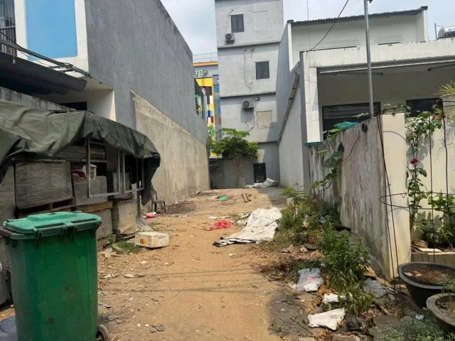 Bất động sản tại Đà Nẵng - ảnh 1