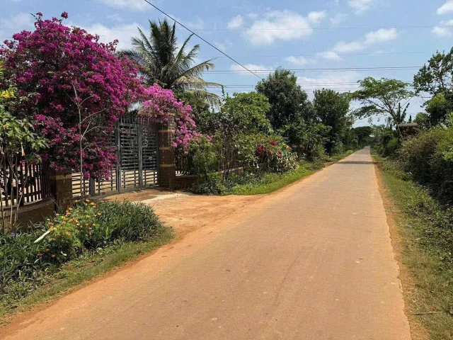 Bất động sản tại Đắk Lắk - ảnh 1