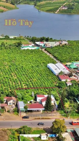 Bất động sản tại Lâm Đồng - ảnh 1