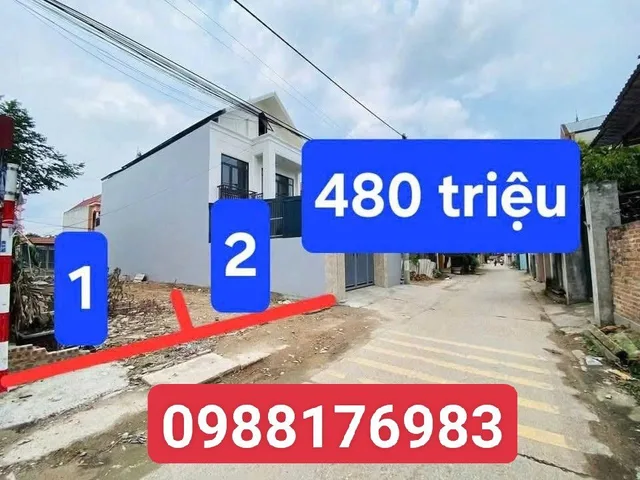 Bất động sản tại Phú Thọ - ảnh 1