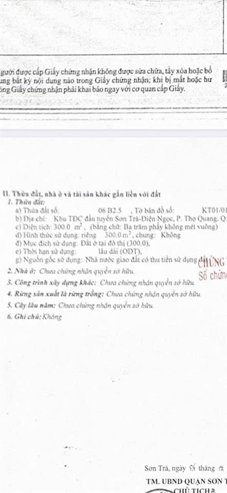 Bất động sản tại Đà Nẵng - ảnh 1