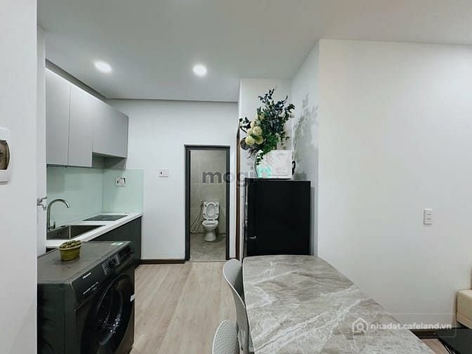 Bất động sản tại TP. Hồ Chí Minh - ảnh 1