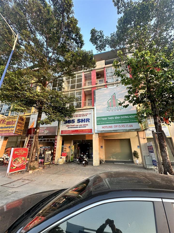 Bất động sản tại Bình Dương - ảnh 1