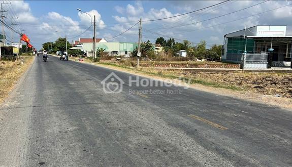 Bất động sản tại Long An - ảnh 1