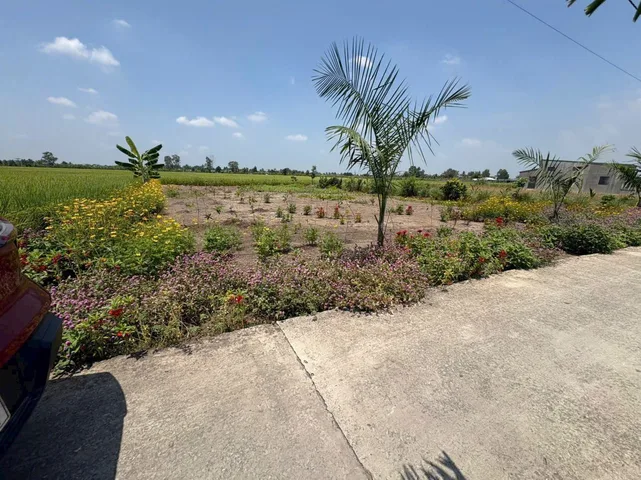 Bất động sản tại Tây Ninh - ảnh 1