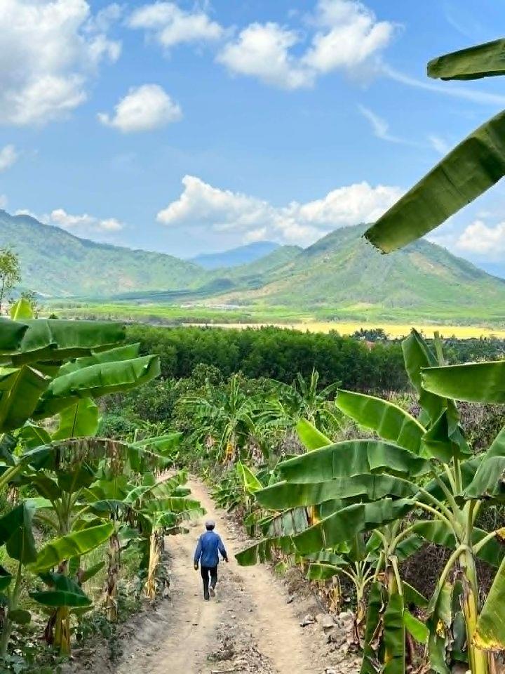 Bất động sản tại Khánh Hòa - ảnh 1