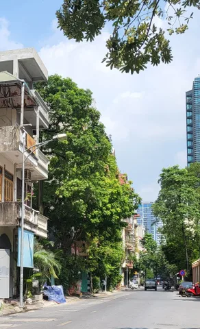 Bất động sản tại Hà Nội - ảnh 1