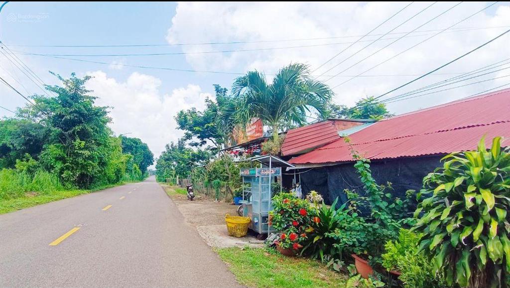 Bất động sản tại Bà Rịa - Vũng Tàu - ảnh 1
