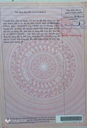 Bất động sản tại Thừa Thiên Huế - ảnh 1