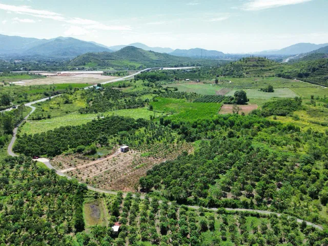 Bất động sản tại Khánh Hòa - ảnh 1
