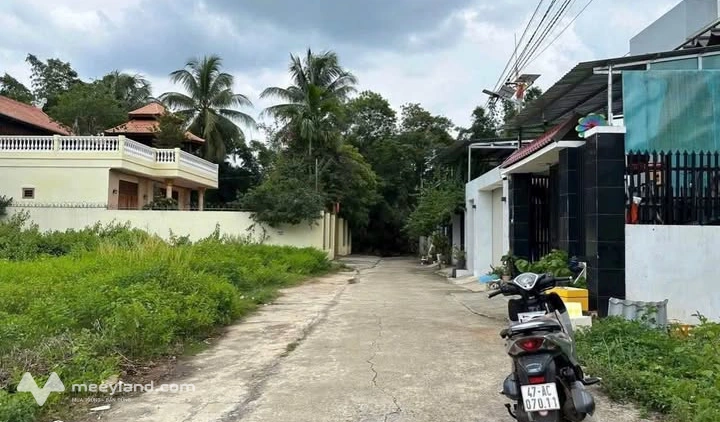 Bất động sản tại Đắk Lắk - ảnh 1