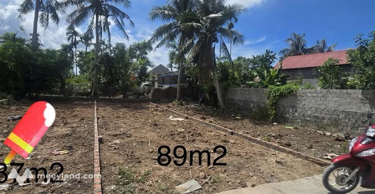 Bất động sản tại Hải Phòng - ảnh 1