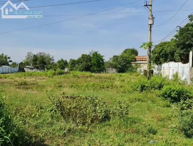 Bất động sản tại Long An - ảnh 1