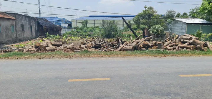 Bất động sản tại Long An - ảnh 1