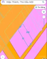 Bất động sản tại Bình Dương - ảnh 1