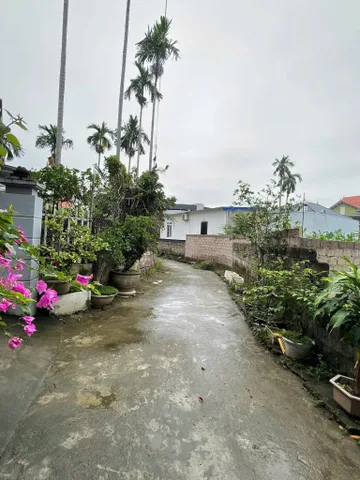 Bất động sản tại Hải Phòng - ảnh 1