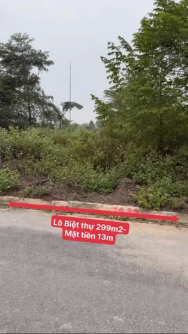 Bất động sản tại Phú Thọ - ảnh 1