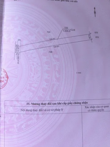 Bất động sản tại Bình Dương - ảnh 1